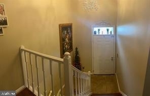 3 Sugar Tree Place - Photo 1