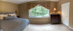3 Sugar Tree Place - Photo 20