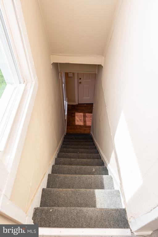 11 E 3rd Street - Photo 3