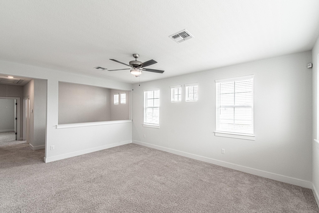 822 Wild Pecan Loop - Photo 22