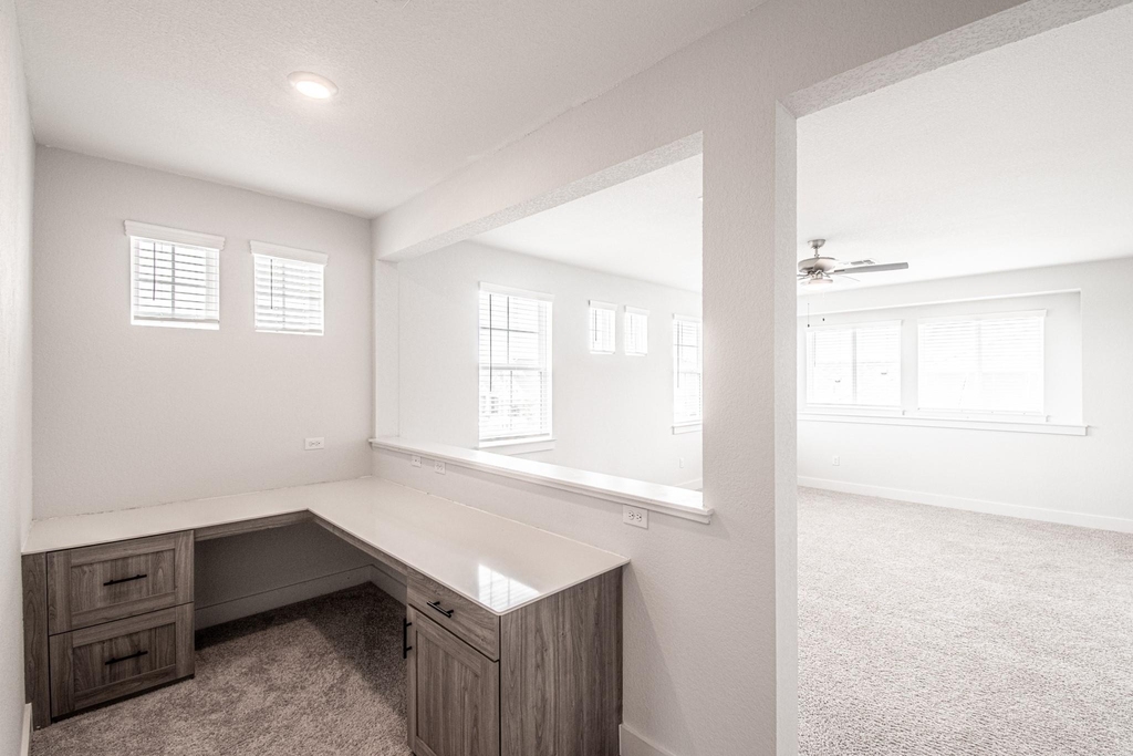 822 Wild Pecan Loop - Photo 24