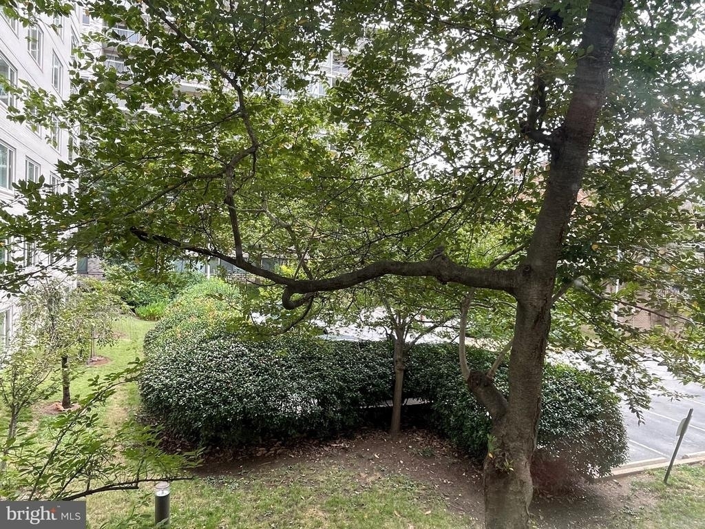 2475 Virginia Avenue Nw - Photo 9