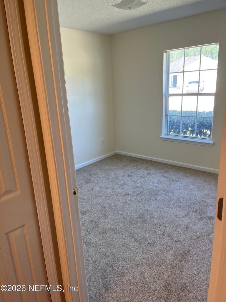 3537 Whisper Creek Boulevard - Photo 10