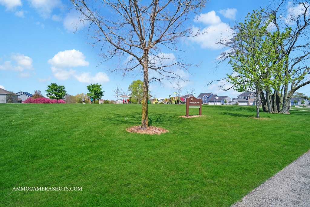 12504 S Cherry Blossom Boulevard - Photo 38