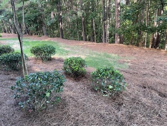4409 Tacoma Trace - Photo 33