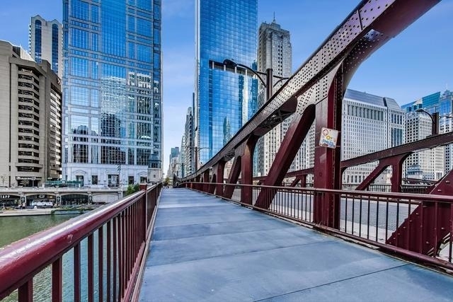 345 N La Salle Drive - Photo 30