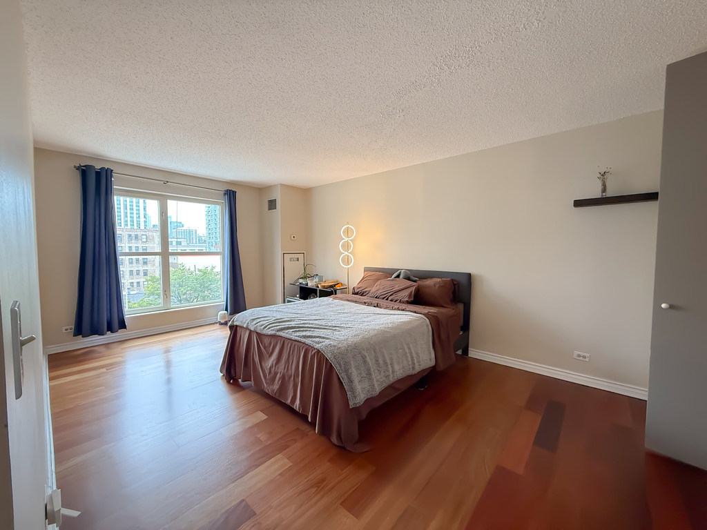 1212 N Lasalle Street - Photo 7