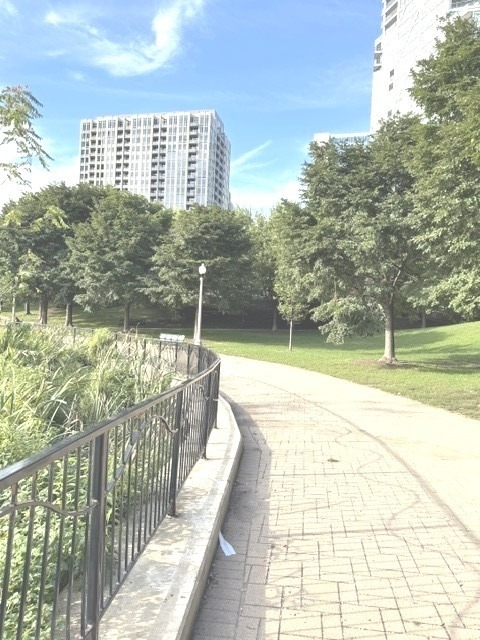 600 N Kingsbury Street - Photo 30