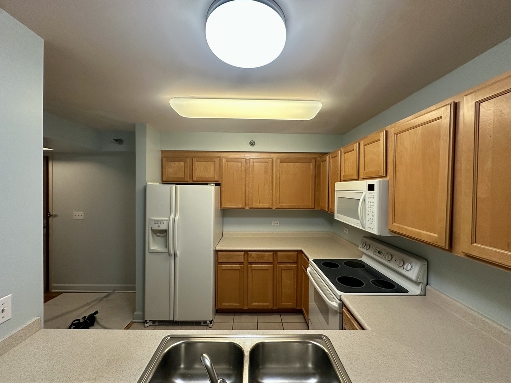 345 N Lasalle Street - Photo 7