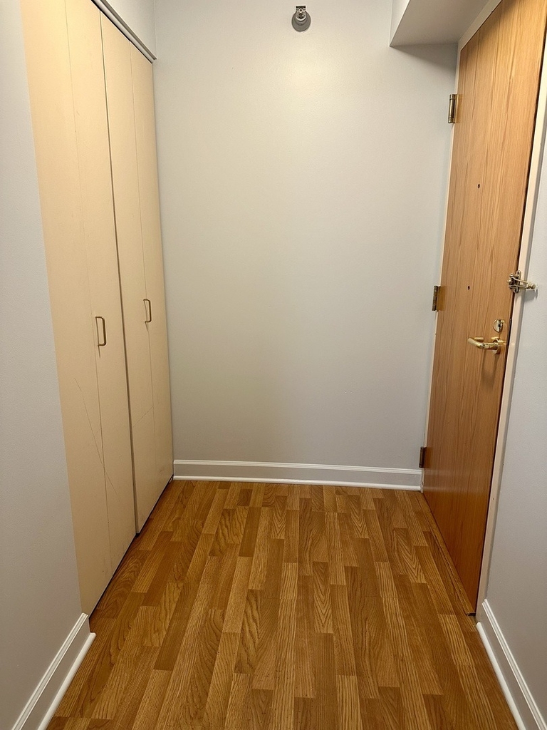 345 N Lasalle Street - Photo 2