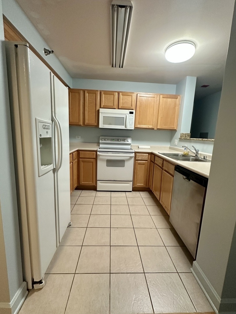 345 N Lasalle Street - Photo 8