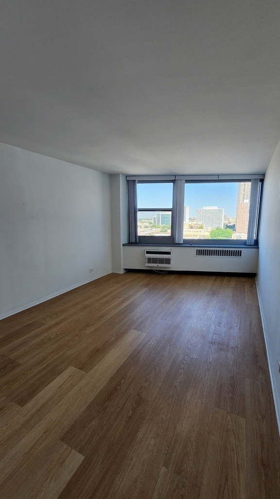 555 W Cornelia Avenue - Photo 17