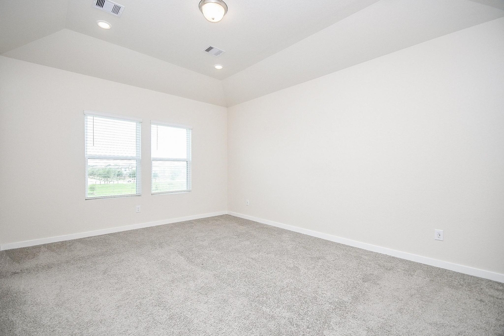 10047 Cloud Mist Drive - Photo 13