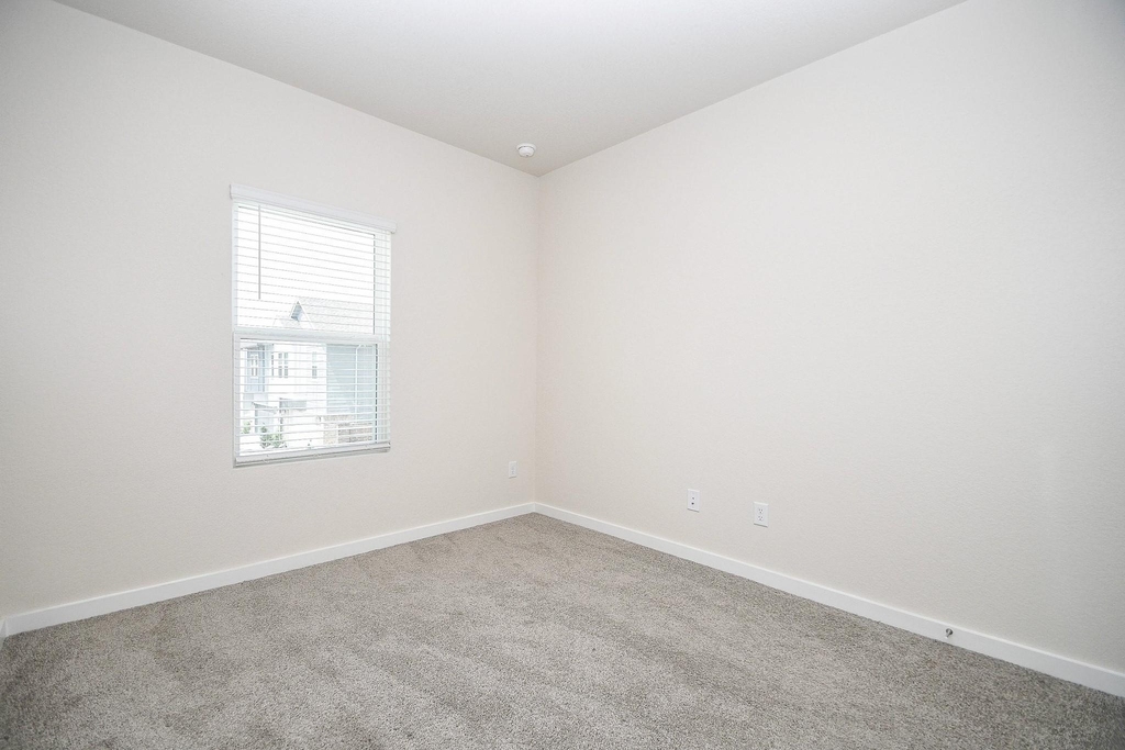 10047 Cloud Mist Drive - Photo 18