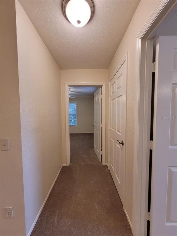 36122 Lake Chase Boulevard - Photo 38