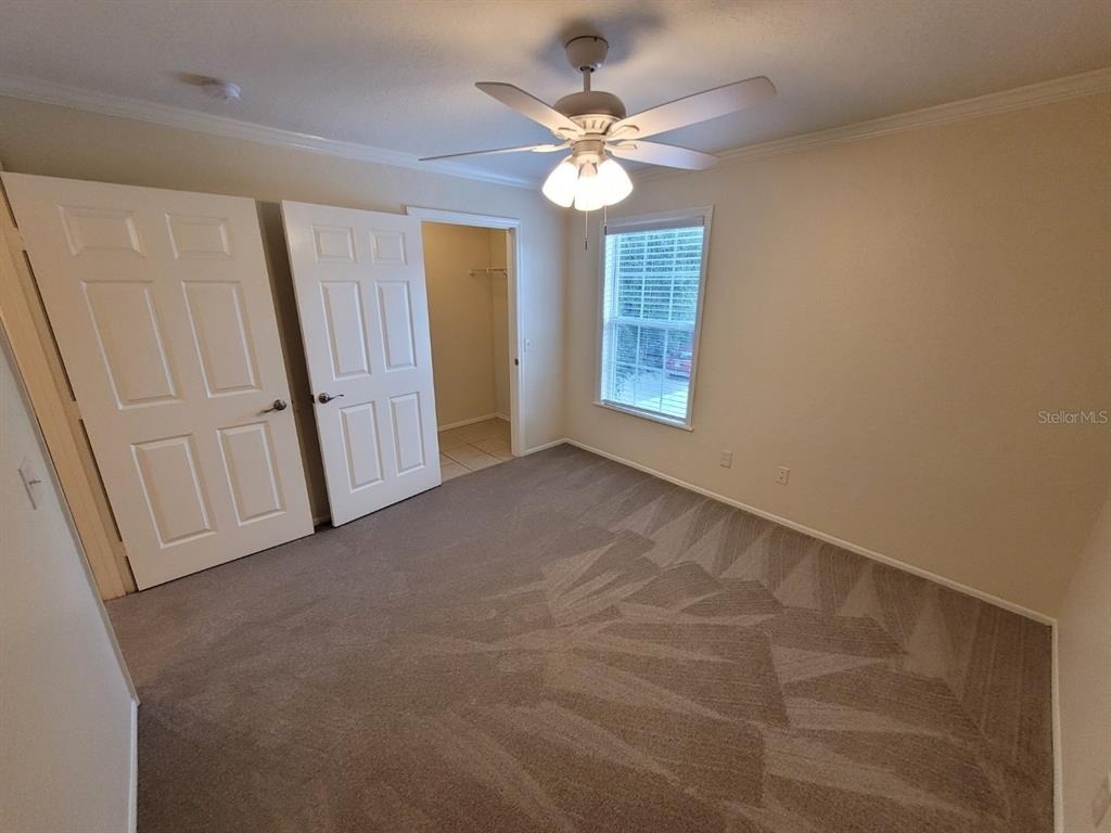 36122 Lake Chase Boulevard - Photo 32