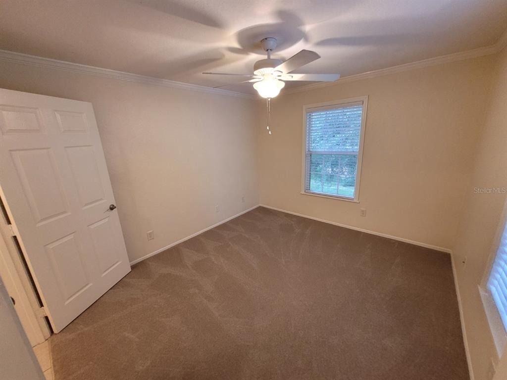 36122 Lake Chase Boulevard - Photo 40
