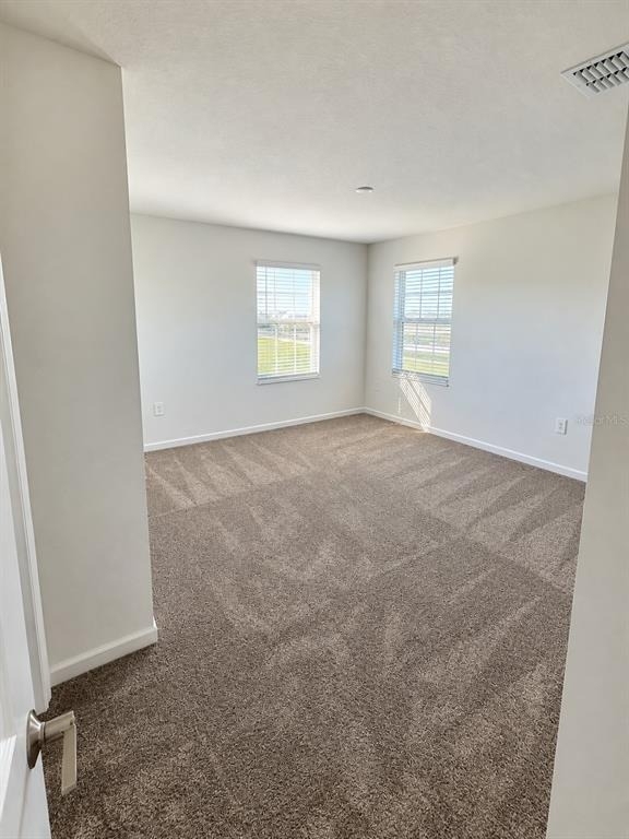 2585 Cotton Candy Alley - Photo 10