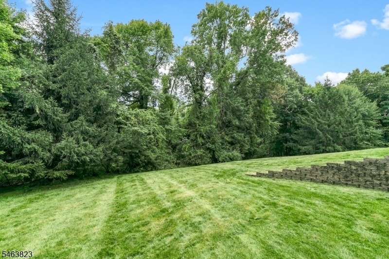 5 Savannah Ct - Photo 42