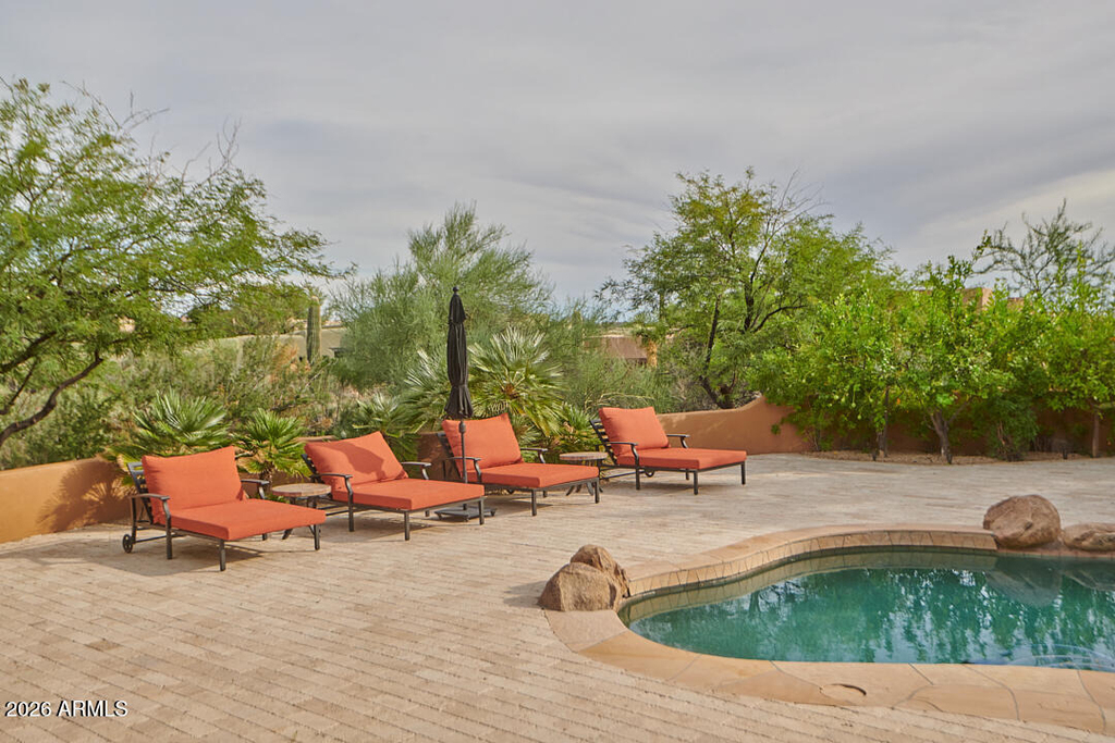 41595 N 110th Way - Photo 29