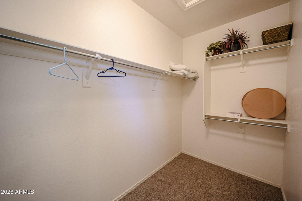 22516 N San Ramon Drive - Photo 13