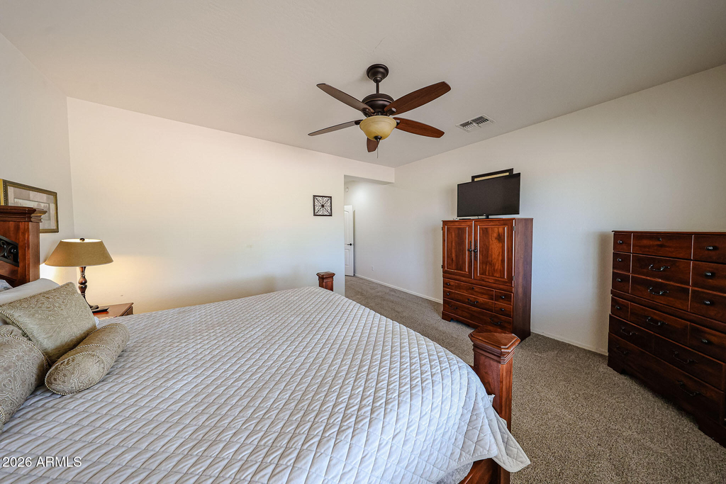 22516 N San Ramon Drive - Photo 10