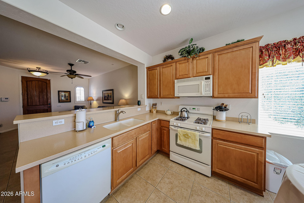 22516 N San Ramon Drive - Photo 7