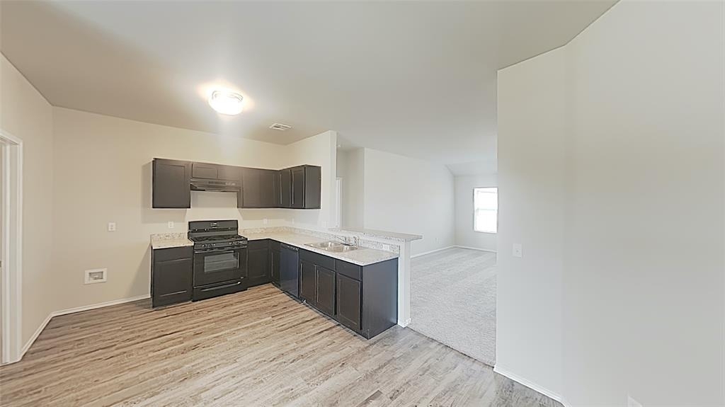 2009 W Antler Way - Photo 3