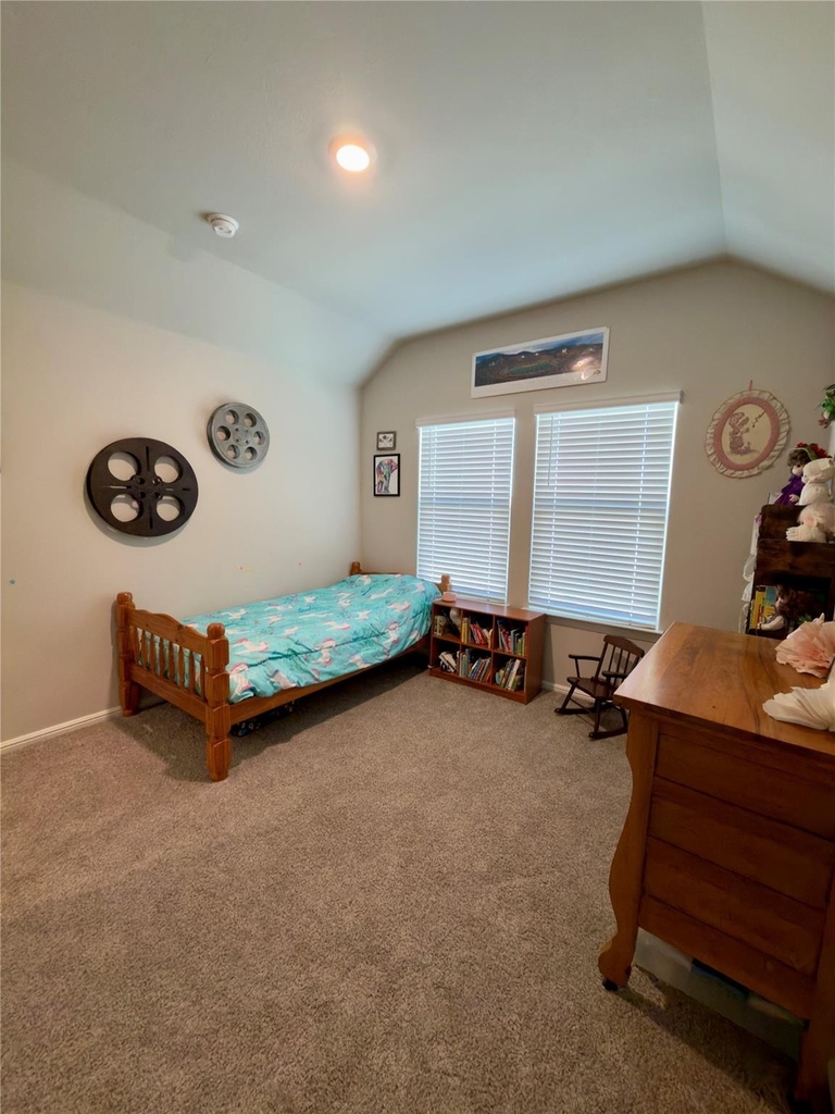 4809 Harmony Street - Photo 9