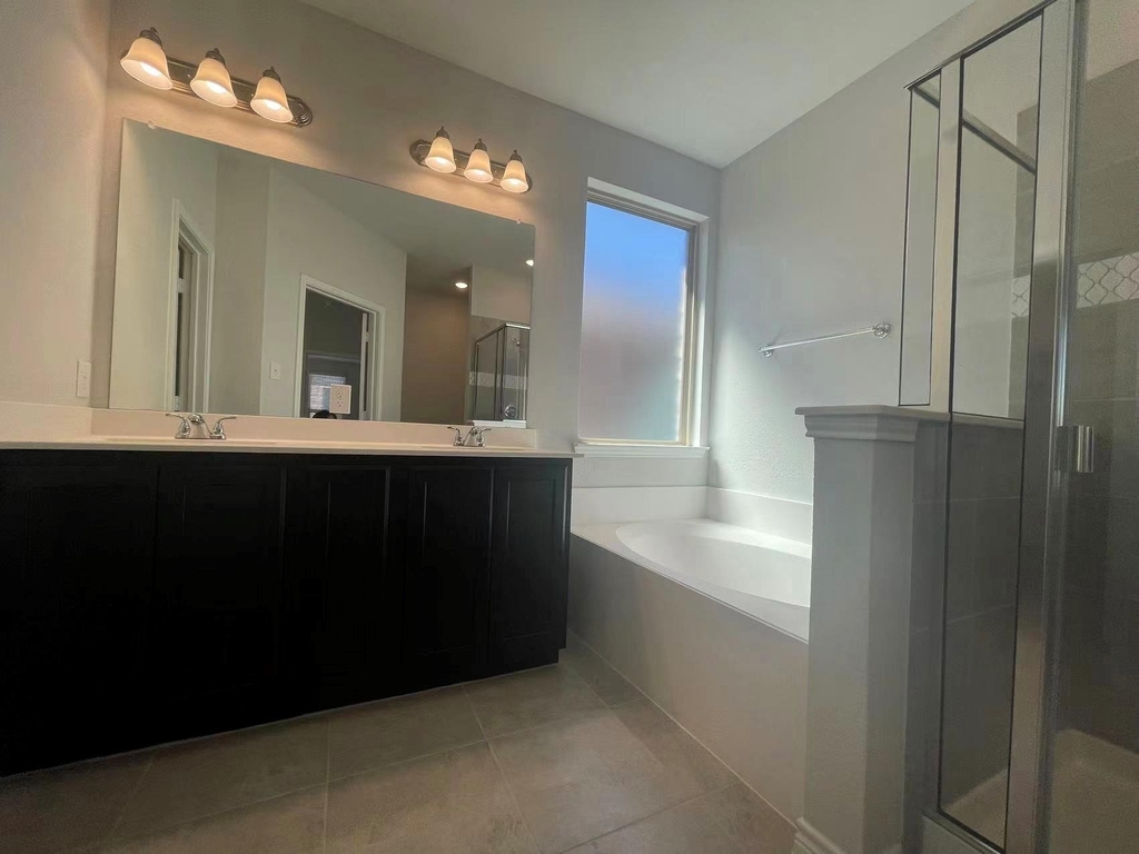 10517 Alpine Meadow Lane - Photo 8