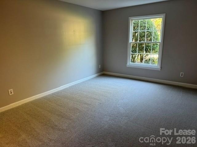 7105 Quail Meadow Lane - Photo 17