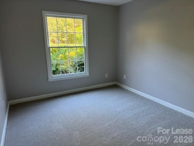 7105 Quail Meadow Lane - Photo 15