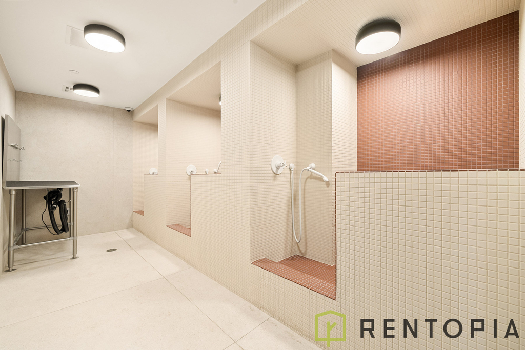 953 Dean Street - Photo 16