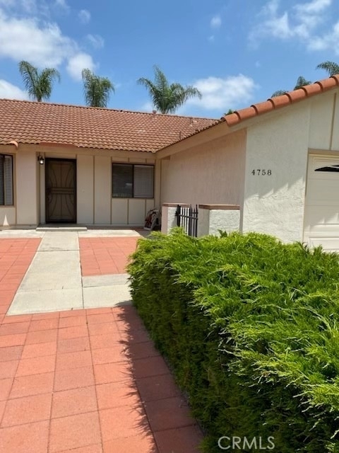 4758 Elm Tree Drive - Photo 1