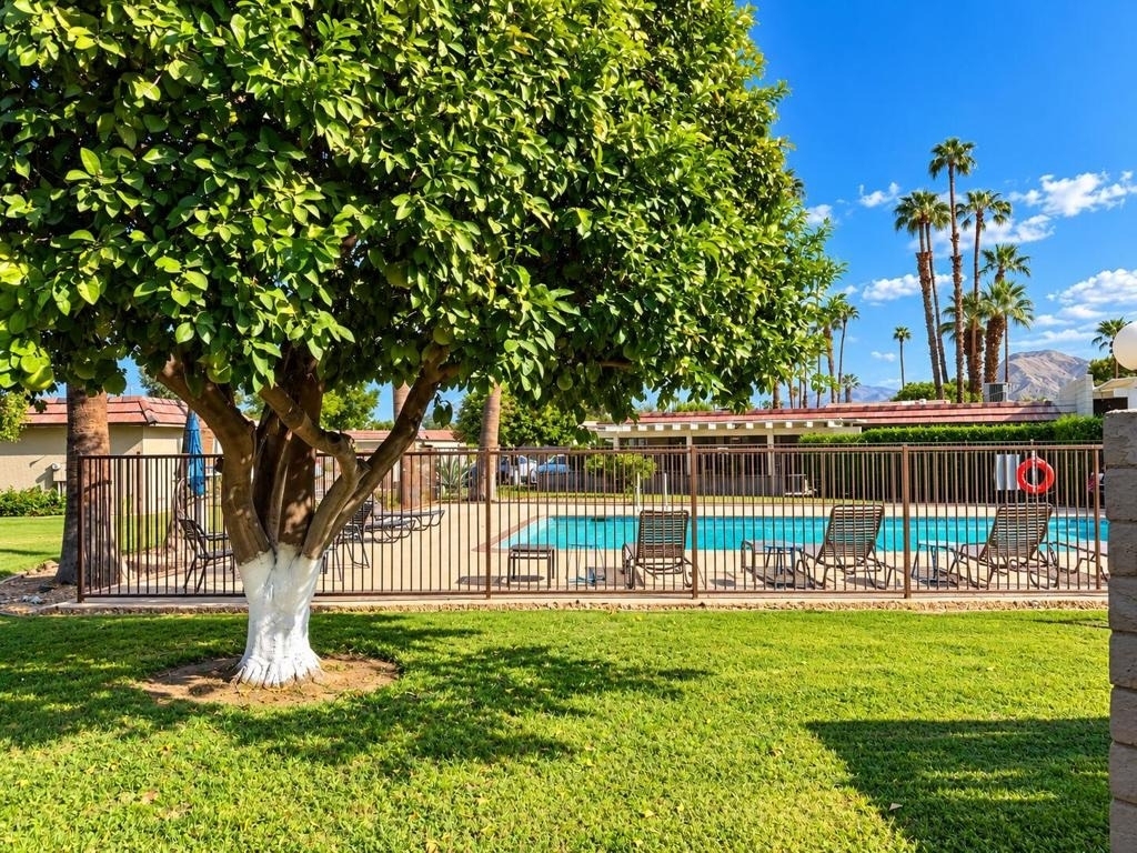 34554 Calle Las Palmas - Photo 15