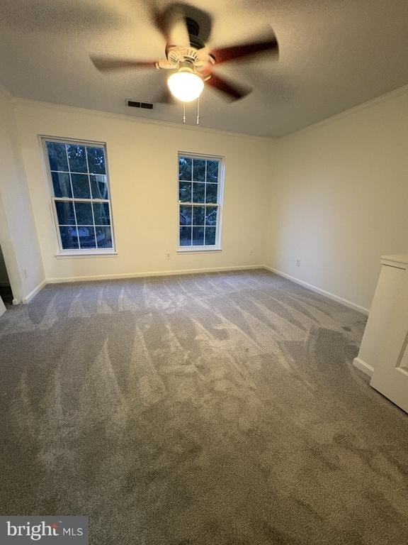 2085 Stargrass Court - Photo 14