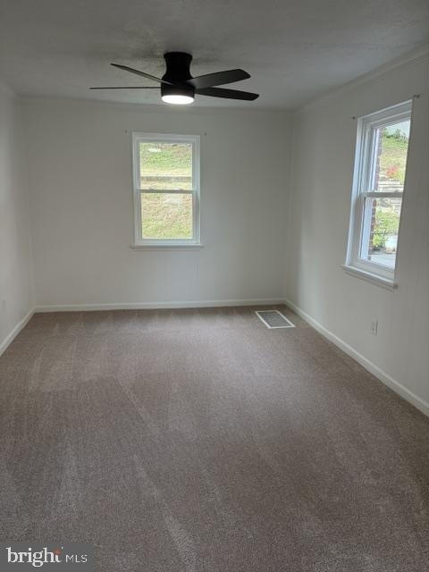 802 Naylors Run Road - Photo 5