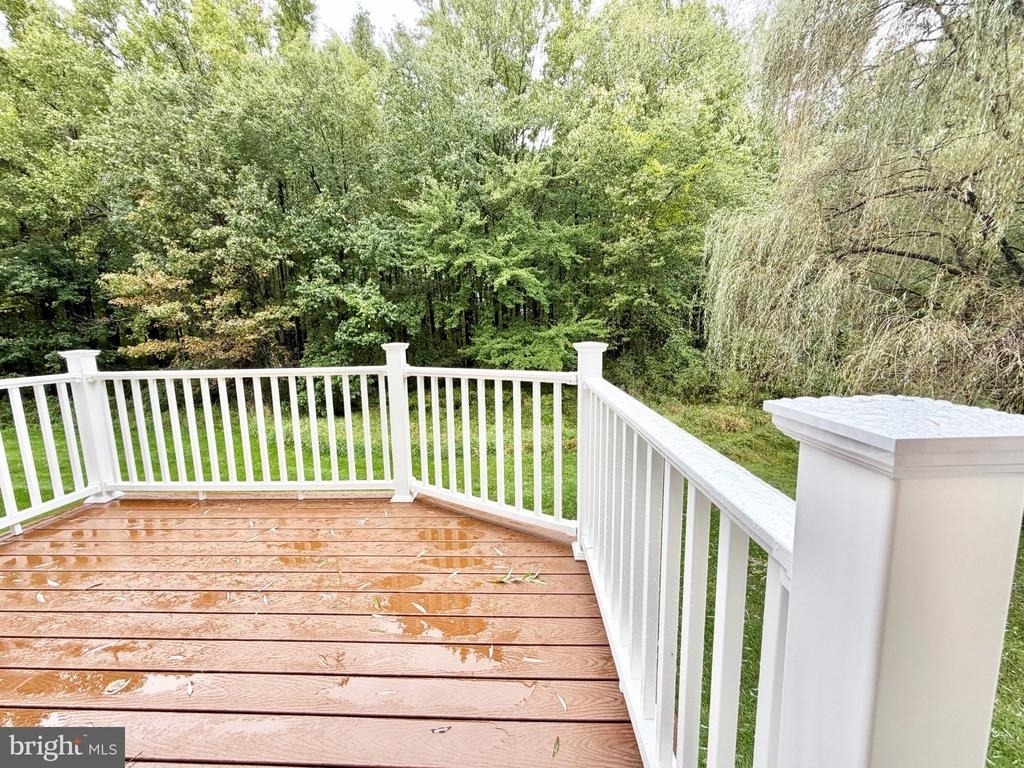 224 Fountayne Lane - Photo 11