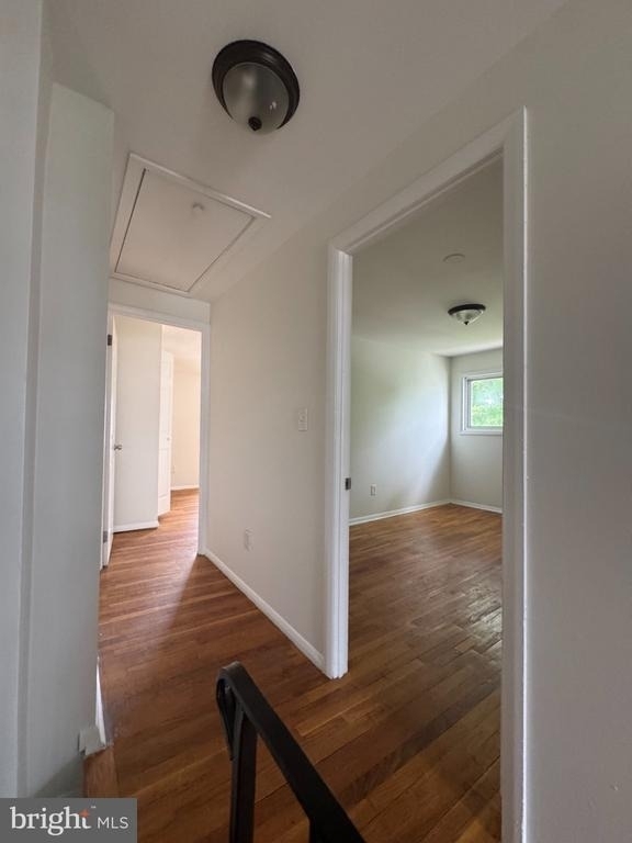 5411 Cynthia Terrace - Photo 8