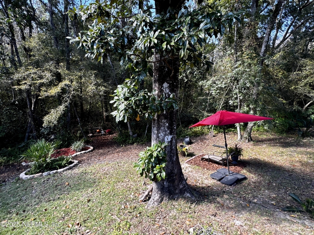 12152 Dividing Oaks Trail W - Photo 5