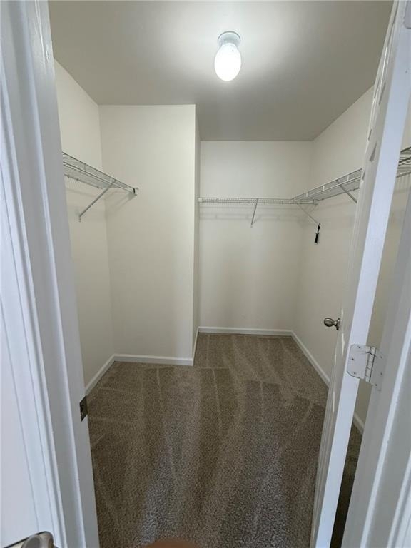 2350 Mayfair Drive - Photo 28