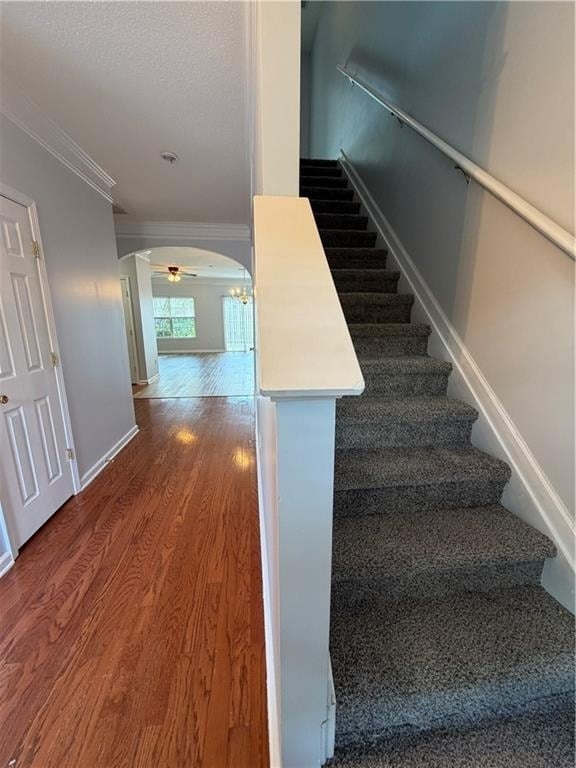 147 Primrose Drive - Photo 8
