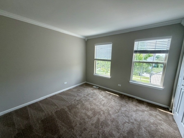 2812 Crested Butte Trail - Photo 13