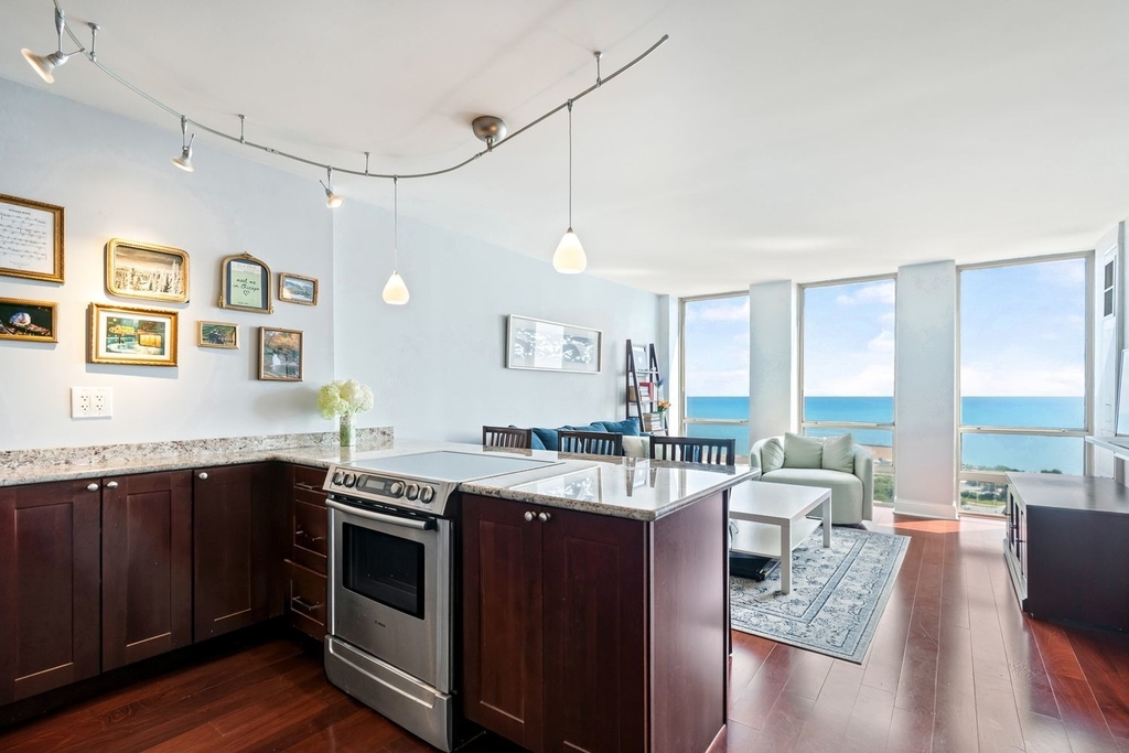 1660 N Lasalle Street - Photo 1