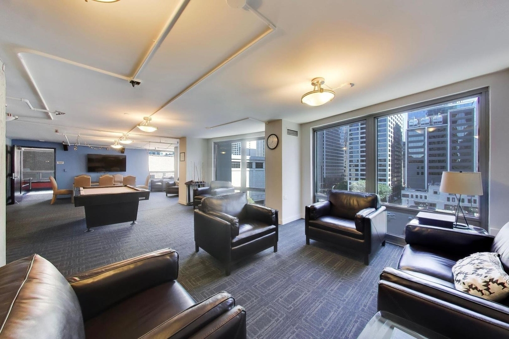 440 N Wabash Avenue - Photo 10