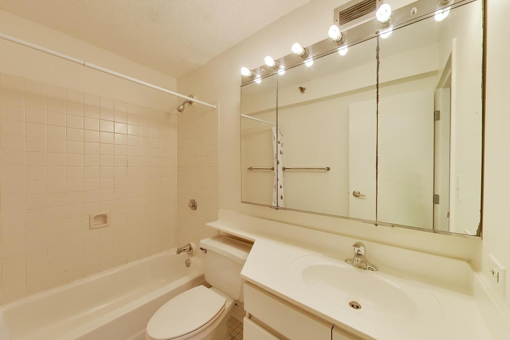 440 N Wabash Avenue - Photo 9