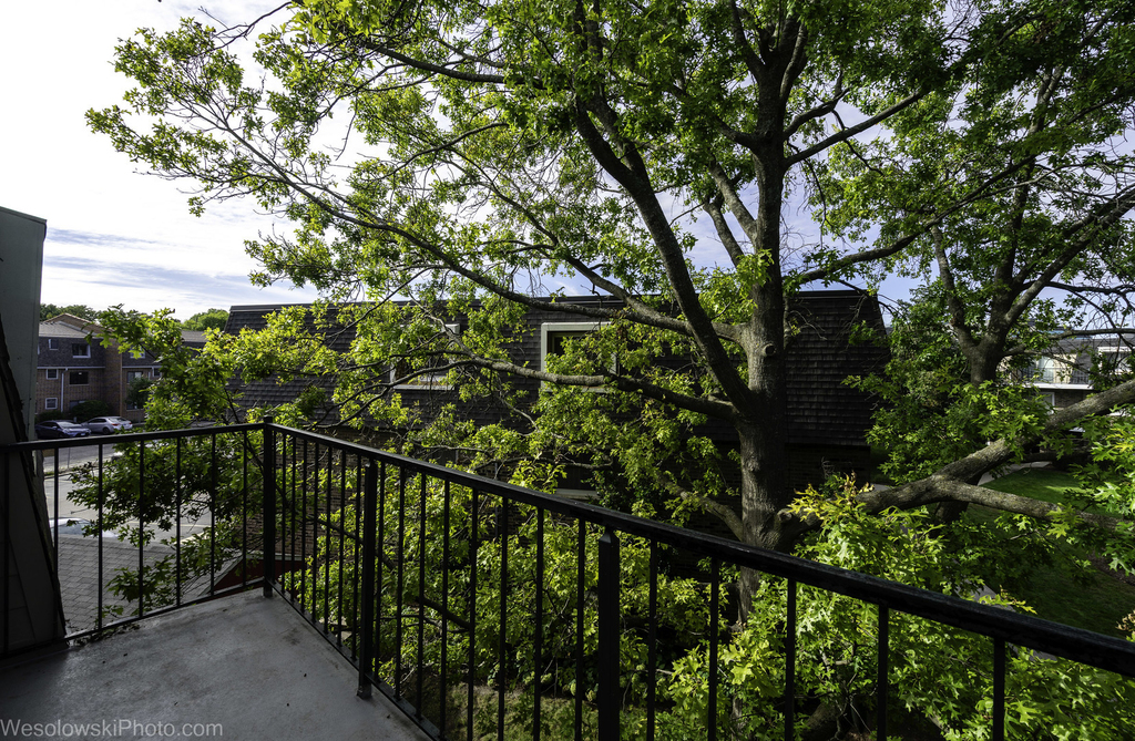3856 S Parkway Drive - Photo 15