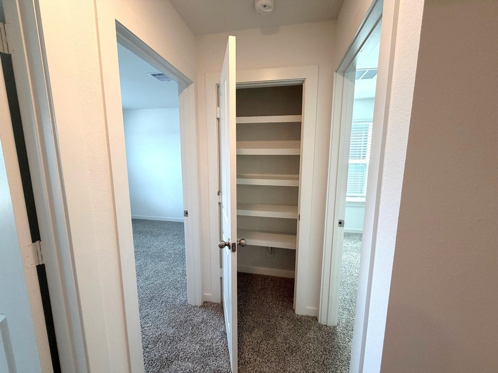 3507 Goldfinch Woods Drive - Photo 24