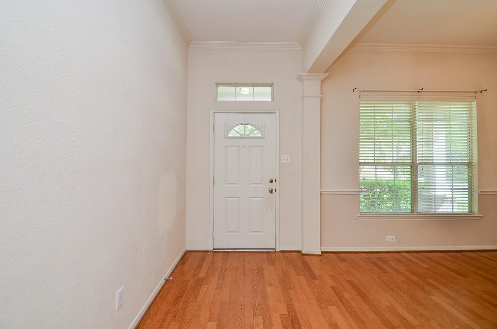 23231 Century Plant Drive - Photo 15