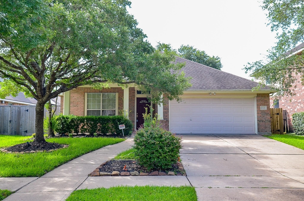 23231 Century Plant Drive - Photo 11